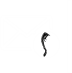 EMAIL ADDRESS